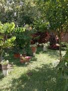 Top Gigante Top Gigante