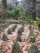 Sel d Ailleurs, Ouirgan - adults only