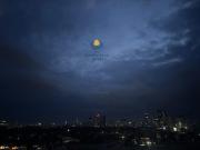 The Gilded Blue Nest