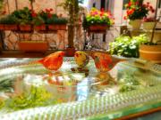 B&B Beroni a Venezia