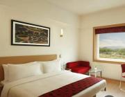 Hotel Red Plaza-Near Delhi Airport-Free Airport Drop