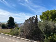 Relax alle Conchiglie