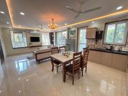 Monstera-Kudrats Nilaya