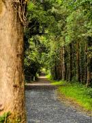 Sundew Cottage, Cosy 1 Bed, near Slane & Newgrange