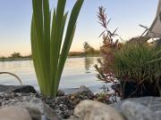 Top Fülöpszállás