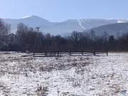 Top Miłków Top Miłków