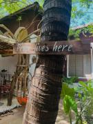 Rafiki Zanzibar Residence