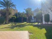 Top Los Amarguillos Top Los Amarguillos