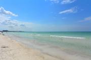 Top Siesta Key