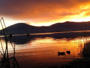 Top Puno