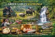 Green Gables Kaziranga