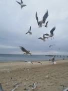 Top Kołobrzeg Top Kołobrzeg