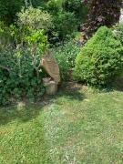 Top Agnetz Top Agnetz