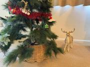 Huge house with 2 buildings and pool 6BR