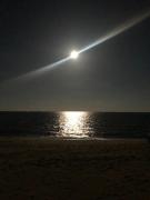 Beach Gardens Thasala