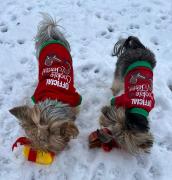 Top Kołobrzeg Top Kołobrzeg