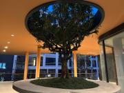 Bellevue Lagoon Phuket