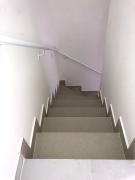 Top Ilha do Mar Casado