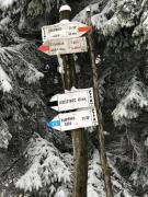 Top Czarnów Top Czarnów