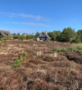 Renovated Fishermans House On Large Natural Plot
