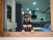 Top Carboneras de Guadazaón Top Carboneras de Guadazaón