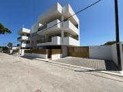 MH Lippolis MH Lippolis