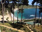 Top Algarrobo Top Algarrobo