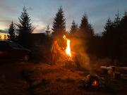 Adriana Phoenixs Bird