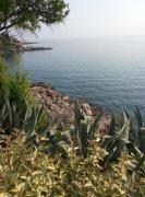 Apartman Marinkovic