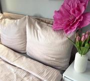 Top Kielce Top Kielce