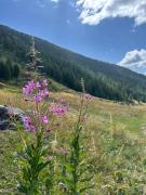 Top Saint-Michel-de-Maurienne