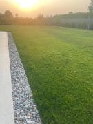 Top Pacengo di Lazise