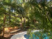 Top El Paredón Buena Vista