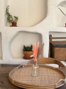 Top Rocchetta Nervina