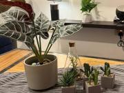 Jodies Place Staycation Family House