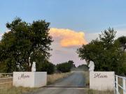 Mein Heim Estate Guest Farm