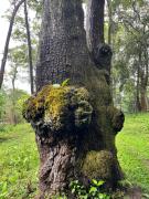 Aquatica by boughn villa