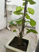 Top San Fernando del Valle de Catamarca