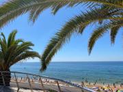 Top Armação de Pêra