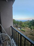 Top Cetinje