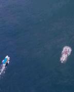 Top El Valle Top El Valle