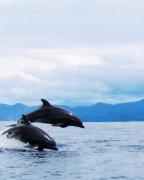 Top El Valle Top El Valle