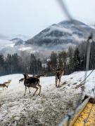 Natur Appartments Riesen