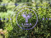 Top Saint-Jean-de-Braye