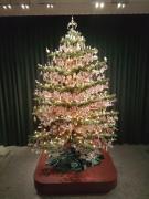 DOMUS AETRURIAE (ETRURIE)