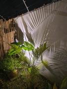 Top Ubatuba