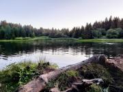 Top Bemont Top Bemont