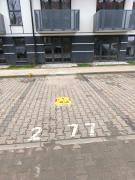 Top Gdańsk Top Gdańsk