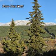 Quinta da Feteira - Conforto, Aventura, Saúde