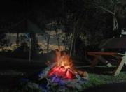 Top Medellín Top Medellín